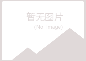 阳江盼夏建设有限公司